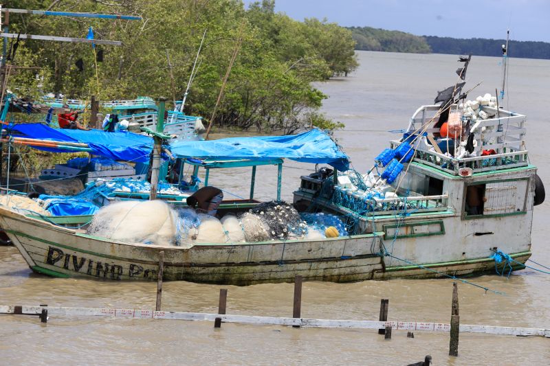 <div class='credito_fotos'>Foto: Marco Santos / Ag. Pará | <a href='/midias/2020/originais/6892_f515b692-0591-a661-3514-22b44bdbee55.jpg' download><i class='fa-solid fa-download'></i> Download</a></div>