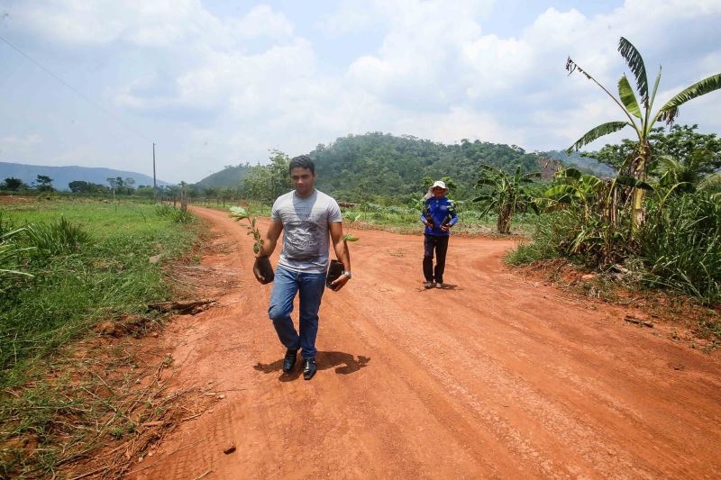 <div class='credito_fotos'>Foto: Alex Ribeiro / Ag. Pará | <a href='/midias/2020/originais/6948_2d111ca6-5222-e5f6-7e0f-ff58d97a85e1.jpg' download><i class='fa-solid fa-download'></i> Download</a></div>