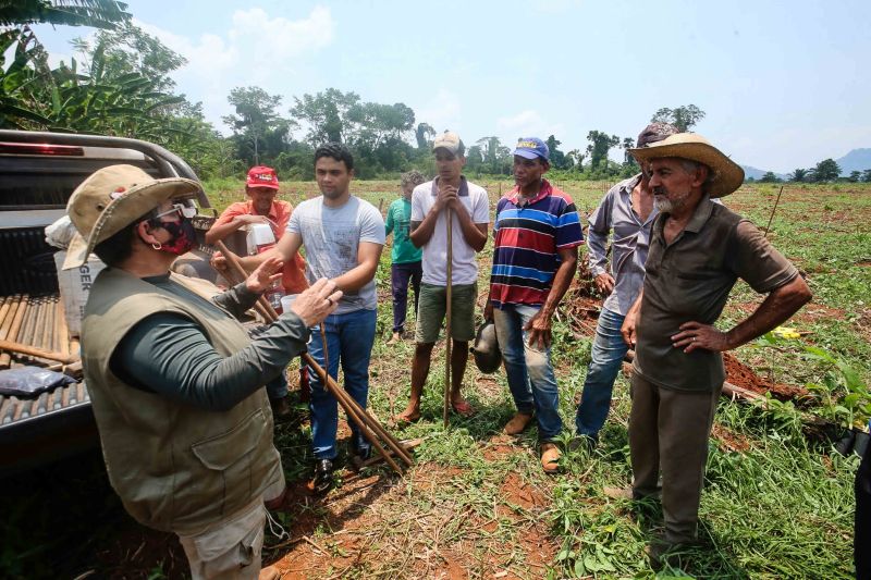 <div class='credito_fotos'>Foto: Alex Ribeiro / Ag. Pará | <a href='/midias/2020/originais/6948_2ded06e2-1359-ffda-ef6a-589cca78faaf.jpg' download><i class='fa-solid fa-download'></i> Download</a></div>