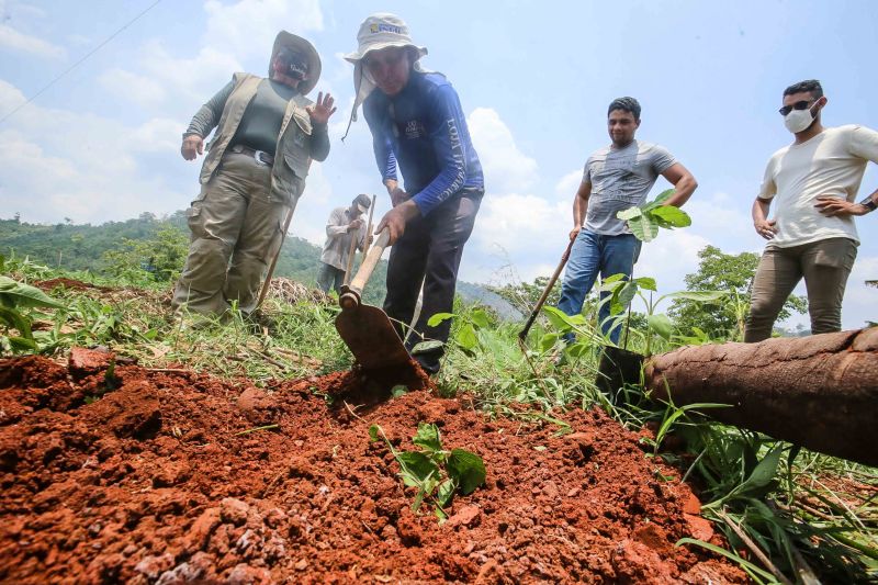 <div class='credito_fotos'>Foto: Alex Ribeiro / Ag. Pará | <a href='/midias/2020/originais/6948_3dd32d4d-37d5-3181-4dc3-480a1f3b392f.jpg' download><i class='fa-solid fa-download'></i> Download</a></div>