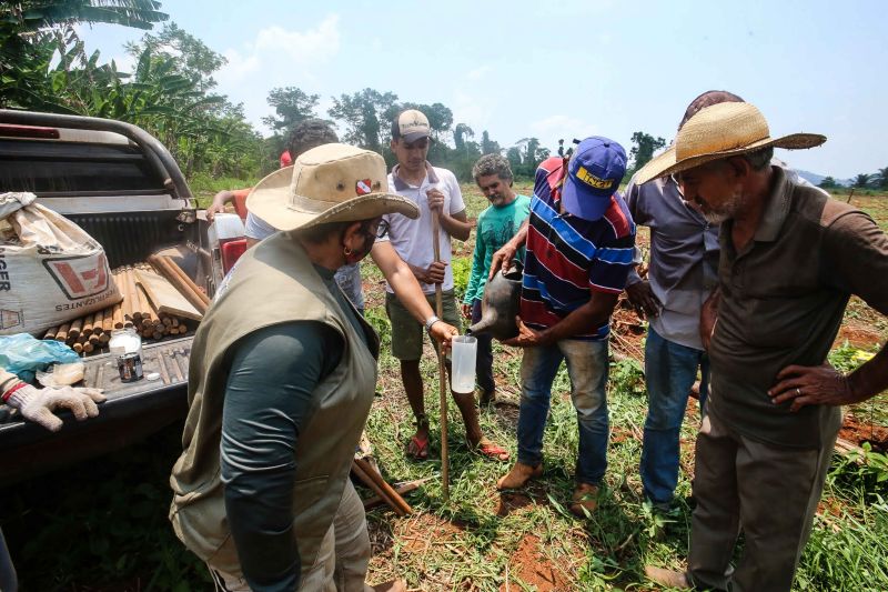 <div class='credito_fotos'>Foto: Alex Ribeiro / Ag. Pará | <a href='/midias/2020/originais/6948_47220824-34ba-d645-35ff-59af5aee9407.jpg' download><i class='fa-solid fa-download'></i> Download</a></div>