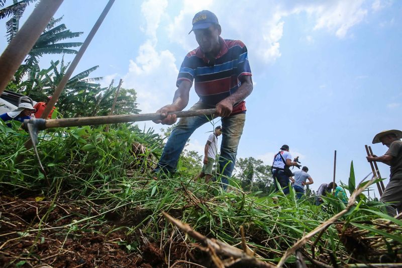 <div class='credito_fotos'>Foto: Alex Ribeiro / Ag. Pará | <a href='/midias/2020/originais/6948_526d75c5-dcac-f334-a042-52ce4ea4e8a2.jpg' download><i class='fa-solid fa-download'></i> Download</a></div>