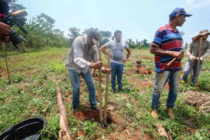<div class='credito_fotos'>Foto: Alex Ribeiro / Ag. Pará | <a href='/midias/2020/originais/6948_99942f95-25ad-6f15-72ef-25bd759924d6.jpg' download><i class='fa-solid fa-download'></i> Download</a></div>