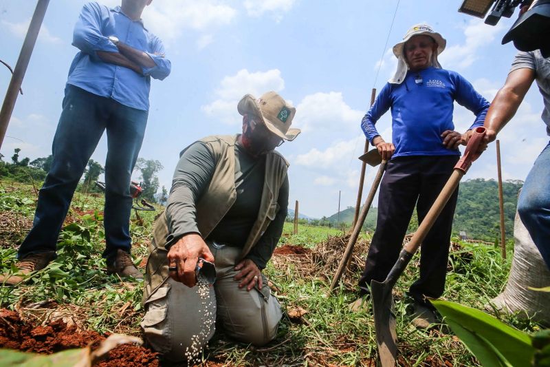 <div class='credito_fotos'>Foto: Alex Ribeiro / Ag. Pará | <a href='/midias/2020/originais/6948_ddd10d01-d16a-76ff-0068-c171c3a89797.jpg' download><i class='fa-solid fa-download'></i> Download</a></div>