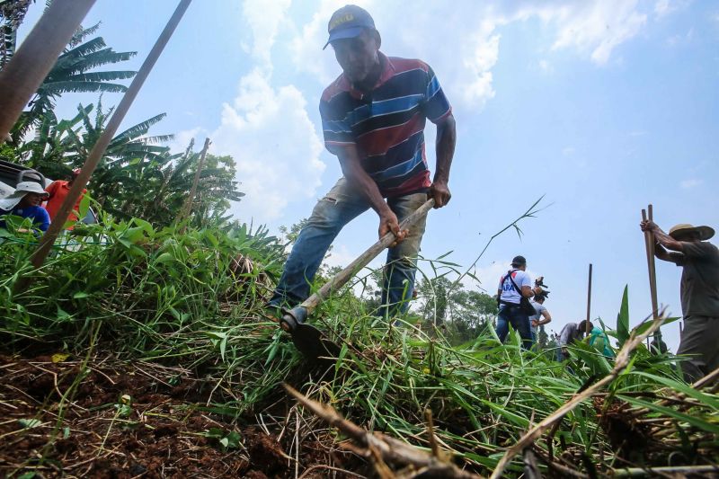 <div class='credito_fotos'>Foto: Alex Ribeiro / Ag. Pará | <a href='/midias/2020/originais/6948_ef71dc87-5f0e-0fa8-9282-d43ea56c2dfd.jpg' download><i class='fa-solid fa-download'></i> Download</a></div>