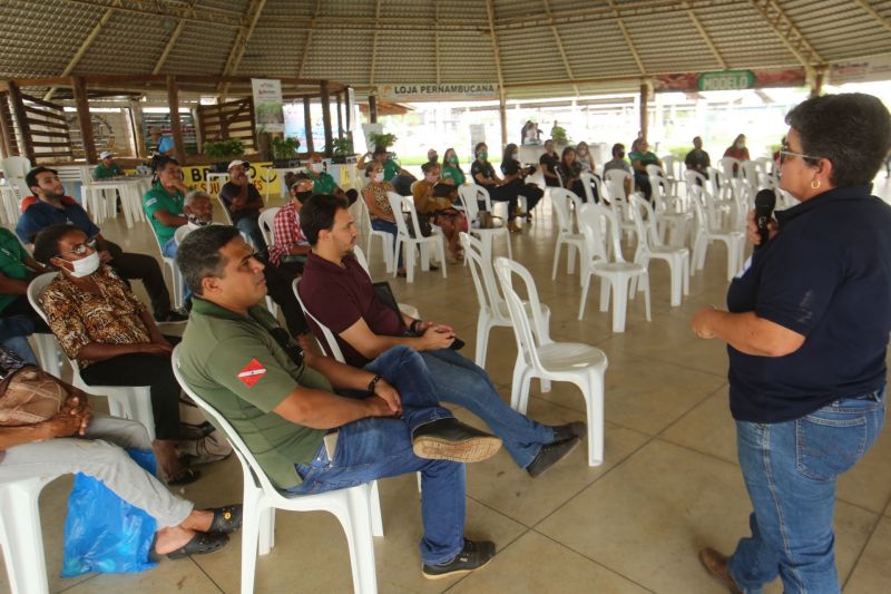<div class='credito_fotos'>Foto: Alex Ribeiro / Ag. Pará | <a href='/midias/2020/originais/6952_22347341-81ba-0c0b-7024-43939b0b3026.jpg' download><i class='fa-solid fa-download'></i> Download</a></div>