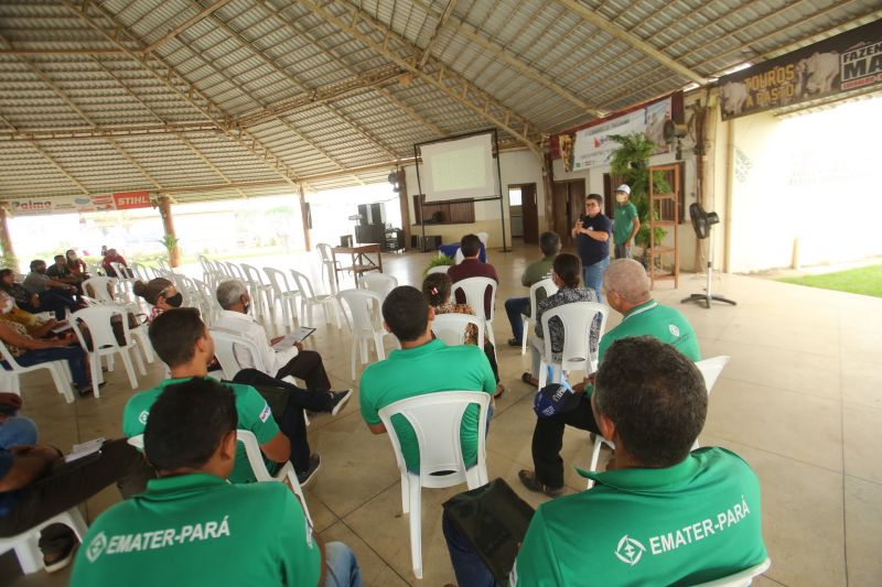 <div class='credito_fotos'>Foto: Alex Ribeiro / Ag. Pará | <a href='/midias/2020/originais/6952_2b97a10c-8a52-1381-213b-4f24c5b63305.jpg' download><i class='fa-solid fa-download'></i> Download</a></div>