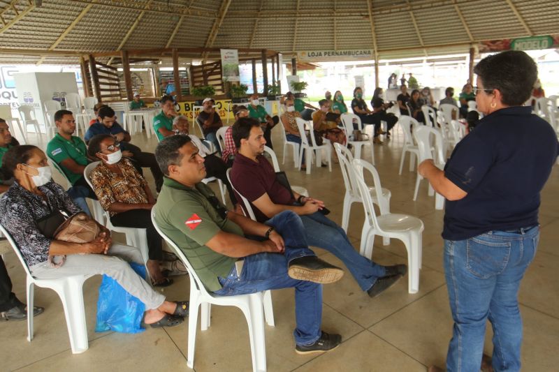 <div class='credito_fotos'>Foto: Alex Ribeiro / Ag. Pará | <a href='/midias/2020/originais/6952_2bfa61ce-6dc6-3e61-bbaf-860d61ecd7ec.jpg' download><i class='fa-solid fa-download'></i> Download</a></div>