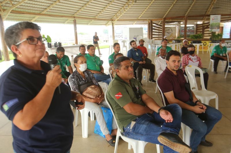 <div class='credito_fotos'>Foto: Alex Ribeiro / Ag. Pará | <a href='/midias/2020/originais/6952_7260742d-3d1a-4e4c-39e8-27ea47eca631.jpg' download><i class='fa-solid fa-download'></i> Download</a></div>