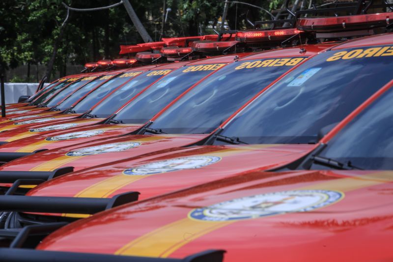 <div class='credito_fotos'>Foto: Jader Paes / Agência Pará | <a href='/midias/2020/originais/6956_b80cee23-ad7f-4093-22f5-23dd82493667.jpg' download><i class='fa-solid fa-download'></i> Download</a></div>