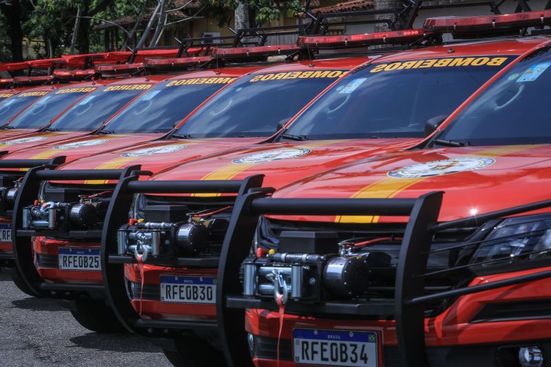 <div class='credito_fotos'>Foto: Jader Paes / Agência Pará | <a href='/midias/2020/originais/6956_d1ba32be-f884-4cdf-8fc1-1653a6e49b2e.jpg' download><i class='fa-solid fa-download'></i> Download</a></div>