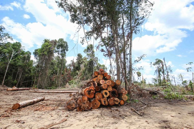 <div class='credito_fotos'>Foto: Alex Ribeiro / Ag. Pará | <a href='/midias/2020/originais/6963_d71483b3-ee03-7a94-1003-37dd1f986844.jpg' download><i class='fa-solid fa-download'></i> Download</a></div>