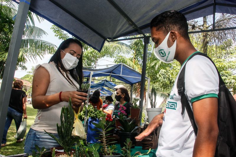 <div class='credito_fotos'>Foto: Marcelo Seabra / Ag. Pará | <a href='/midias/2020/originais/6974_351d383d-acea-9c11-9670-ea6edbaa26b3.jpg' download><i class='fa-solid fa-download'></i> Download</a></div>