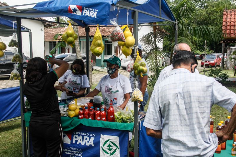 <div class='credito_fotos'>Foto: Marcelo Seabra / Ag. Pará | <a href='/midias/2020/originais/6974_6ddee4ce-6668-5d69-ba44-9ba3b4b7ea0a.jpg' download><i class='fa-solid fa-download'></i> Download</a></div>