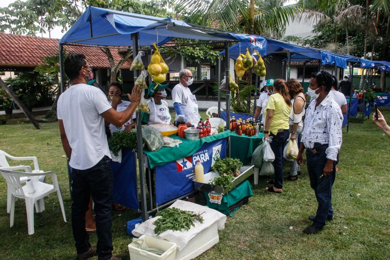 <div class='credito_fotos'>Foto: Marcelo Seabra / Ag. Pará | <a href='/midias/2020/originais/6974_8dd80a33-22aa-1528-d609-3a30813e252e.jpg' download><i class='fa-solid fa-download'></i> Download</a></div>
