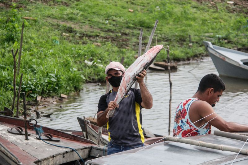 <div class='credito_fotos'>Foto: Marcelo Seabra / Ag. Pará | <a href='/midias/2020/originais/7013_6e159b55-dcc4-65e6-2674-2ab4ee42ec10.jpg' download><i class='fa-solid fa-download'></i> Download</a></div>