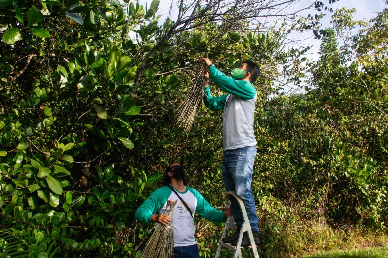 <div class='credito_fotos'>Foto: Marcelo Seabra / Ag. Pará | <a href='/midias/2020/originais/7107_17e38886-7e87-2e36-49d9-d6f8928ddda4.jpg' download><i class='fa-solid fa-download'></i> Download</a></div>