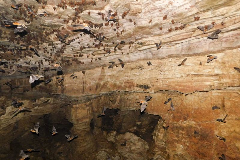 Araguaia possuem um rico Patrimônio Espeleológico, representado por mais de 475 cavernas, com destaque para a Caverna Serra das Andorinhas <div class='credito_fotos'>Foto: ASCOM / IDEFLOR-BIO | <a href='/midias/2020/originais/7153_8079d460-8e5d-22de-01df-54afc85a814f.jpg' download><i class='fa-solid fa-download'></i> Download</a></div>
