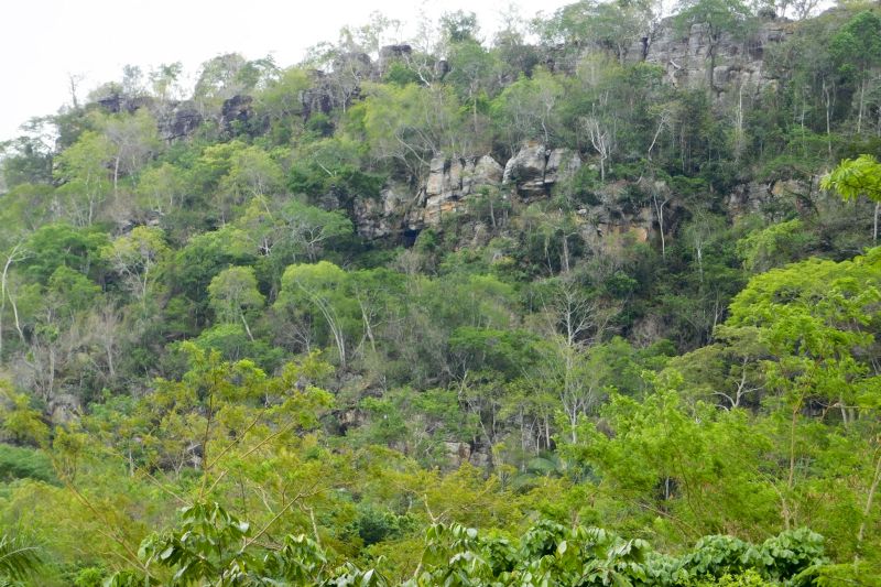 Araguaia possuem um rico Patrimônio Espeleológico, representado por mais de 475 cavernas, com destaque para a Caverna Serra das Andorinhas <div class='credito_fotos'>Foto: ASCOM / IDEFLOR-BIO | <a href='/midias/2020/originais/7153_8f6f8da1-bf1c-a97f-81b4-60e8faea1af4.jpg' download><i class='fa-solid fa-download'></i> Download</a></div>