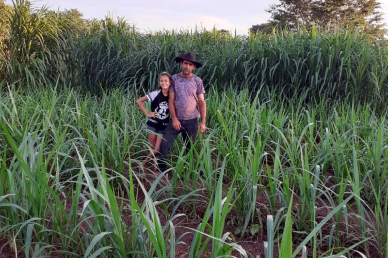  Lázaro Oliveira, filha Laura, Chácara 3R, PA São Domingos