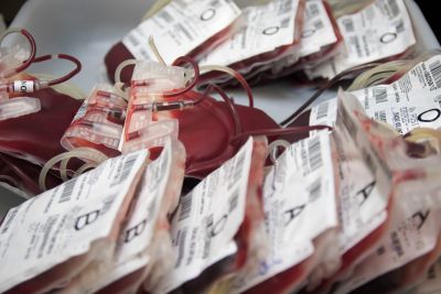 notícia: Hemopa registra a doação de quase 95 mil bolsas de sangue em 2019