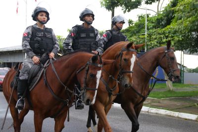 notícia: Rotina do Regimento de Polícia Montada fortalece vínculo entre policiais e cavalos