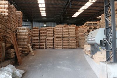 galeria: Semas apreende mais de 1 milhão de cabos de vassoura explorados irregularmente