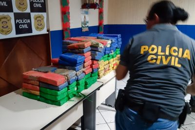 notícia: Polícia Civil realiza a maior apreensão de cocaína já registrada pela instituição