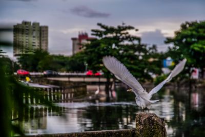 galeria: CANAIS LIMPOS