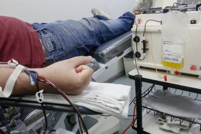 notícia: Hemopa já coletou o plasma de 40 voluntários para tratamento da Covid-19