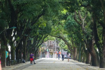 notícia: Pará teve índice de 42,53% nessa quarta-feira (27) e ocupou o 9º lugar no ranking nacional