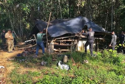 notícia: Força-tarefa destrói acampamentos para derrubada ilegal da floresta em Novo Progresso