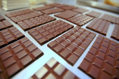 notícia: Cacau paraense rompe fronteiras com qualidade e aumento da produção