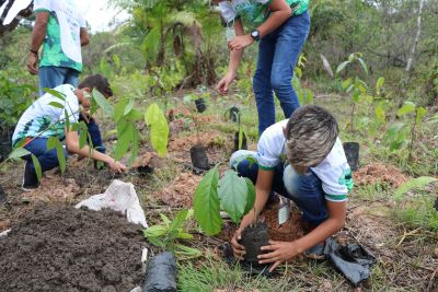 galeria: Projeto Miyawaki refloresta área alterada no Parque do Utinga