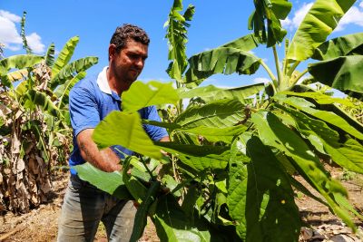 notícia: 'Territórios Sustentáveis' fortalece boas práticas ambientais no Xingu