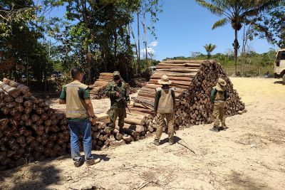 notícia: Fiscalizações diminuem em 38% o desmatamento no Pará no mês de julho
