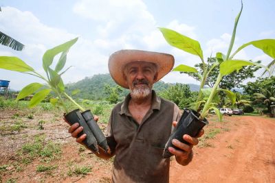 notícia: Governo fortalece o desenvolvimento sustentável do Pará a partir de pesquisas e qualificações 