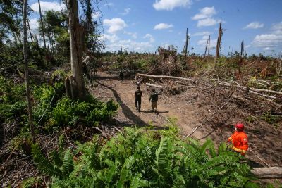 notícia: "Amazônia Viva" fortalece combate a crimes ambientais em território paraense