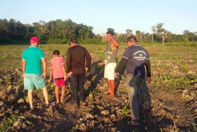 notícia: Crianças de Prainha recebem merenda escolar produzida no campo