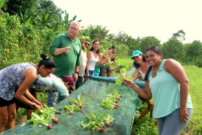 notícia: Com apoio da Emater, agricultores de Santa Izabel devem faturar R$ 40 milhões em 2020