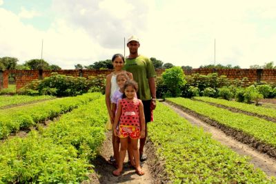 notícia: Periferias da região metropolitana de Belém despontam na produção agrícola