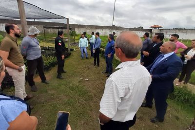 notícia: Parceria promove reinserção social e esperança aos internos