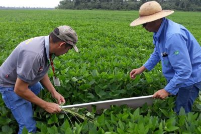 notícia: Adepará promove Dia D da defesa agropecuária paraense