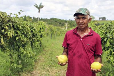 notícia: Emater orienta produção de maracujá em Itupiranga, no sudeste do Pará