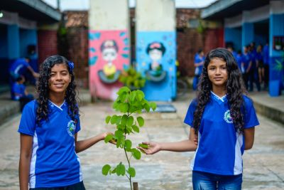 notícia: Alunos da escola José Valente estão cuidando do Cantinho Verde entregue pela Sedap