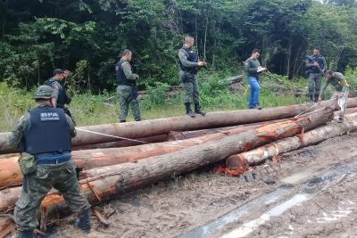 notícia: Semas apreende madeira ilegal durante operação no nordeste paraense 