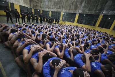 notícia: Estado promove revistas nas 45 unidades penitenciárias da Seap
