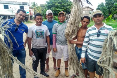 notícia: Colheita da juta em Alenquer deve chegar a 55 toneladas este ano