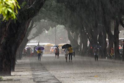 notícia: Defesa Civil do Pará alerta sobre cuidados durante o período das chuvas
