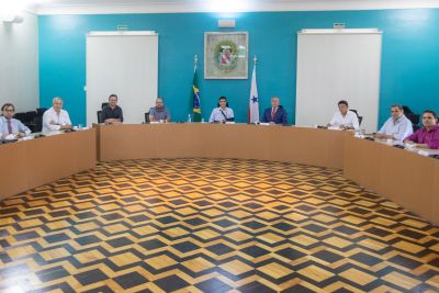 notícia: Estado e Bancada Federal irão redirecionar R$ 246 mi das emendas para combate ao coronavírus